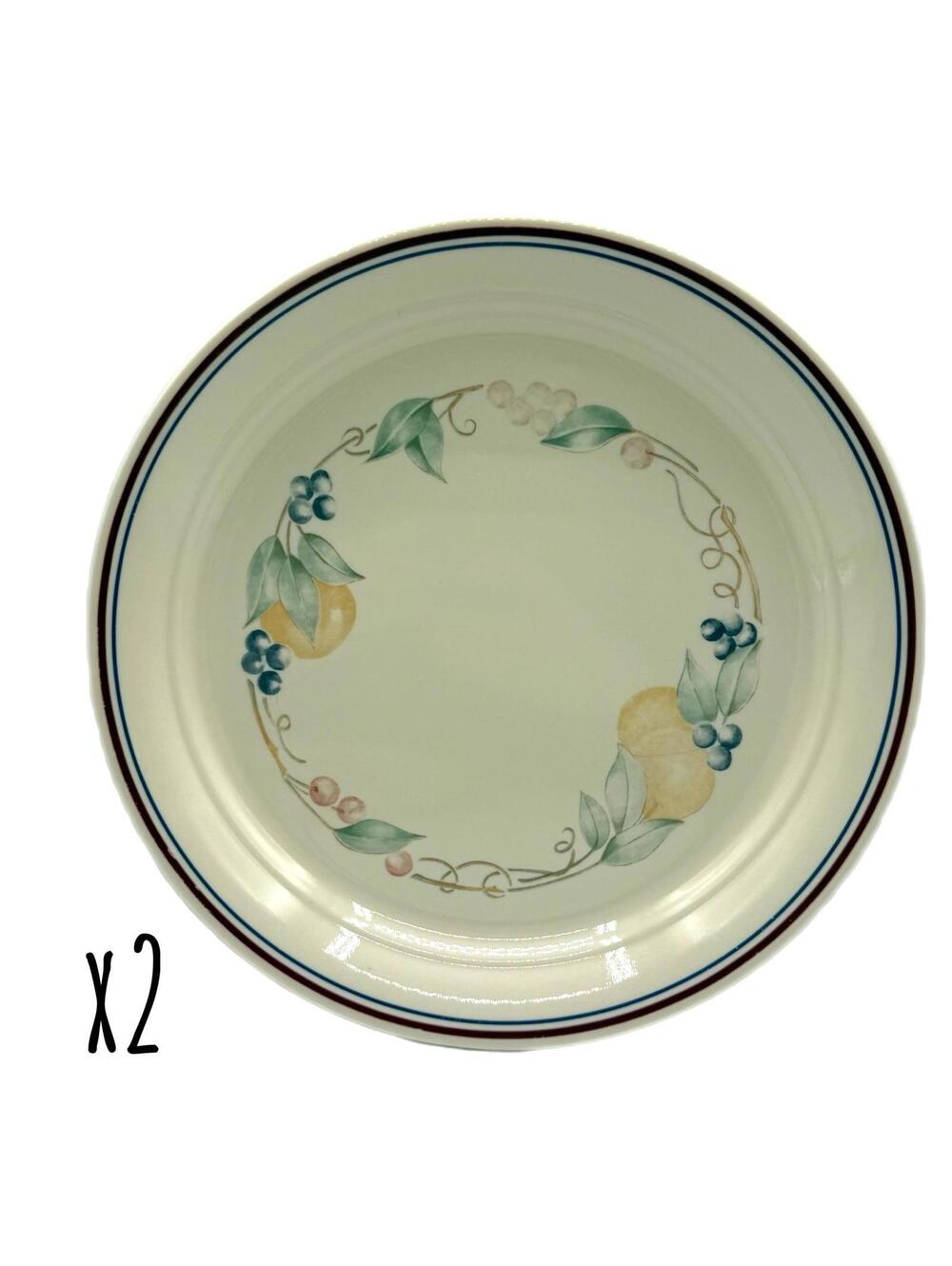 Set of 2 Vintage Corelle Abundance 10.25” Dinner Plates